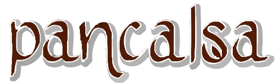 logo-pancalsa-PÁGINA_WEB